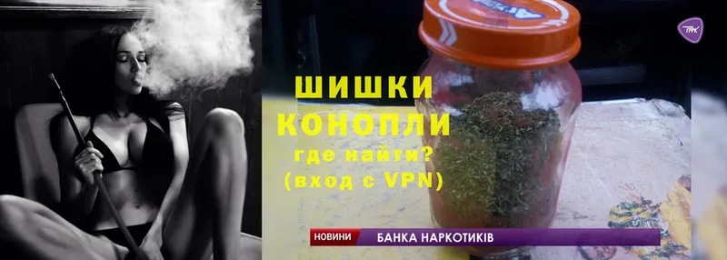 магазин продажи   Высоцк  Конопля White Widow 